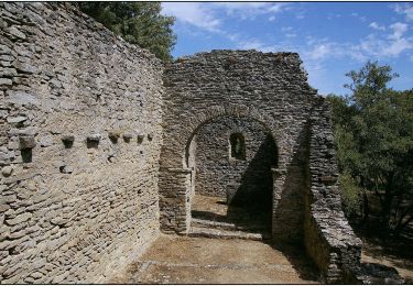 Tour Zu Fuß Villarzel-Cabardès - Sentiers des Wisigoths - Photo