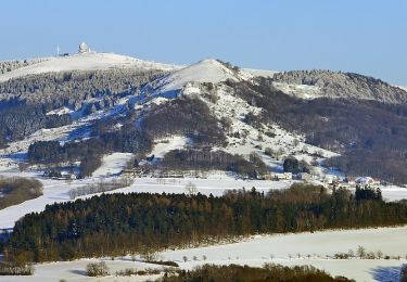 Tour Zu Fuß Ebersburg - Rhön-Rundweg 1 Ebersburg - Photo