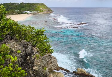 Randonnée Marche Anse-Bertrand - Guadeloupe - Pointe de la Petite Vigie à Pointe de la Grande Vigie - Photo