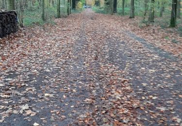 Tour Wandern Le Rœulx - Le Roeulx adeps 191123 - Photo