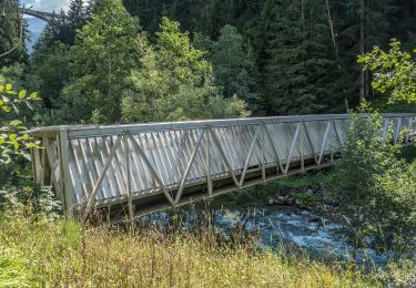 Percorso A piedi Arosa - Langwies-Mattjisch Horn - Photo