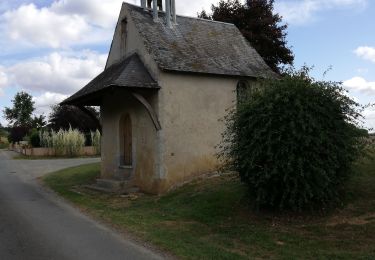 Trail Walking Malicorne-sur-Sarthe - Malicorne - Photo