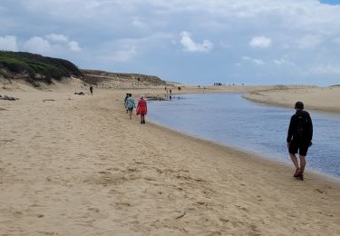 Randonnée Marche Moliets-et-Maâ - balade dans les pins avec vue sur dune - Photo