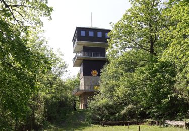 Randonnée A pied Goslar - Harly Rundwanderweg 1 - Photo