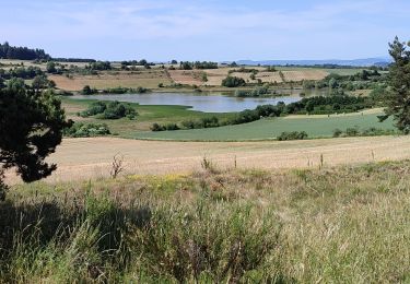 Percorso Marcia Le Monastier-sur-Gazeille - le Bouchet  - Photo