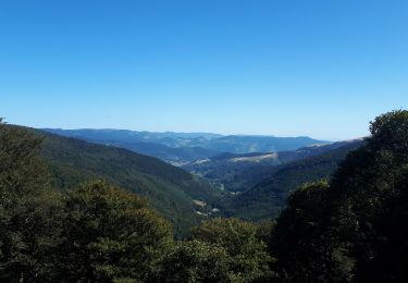 Trail Walking Metzeral - hannel - Photo