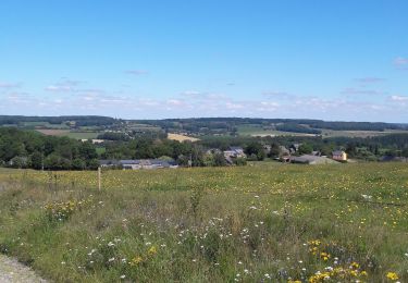 Randonnée Marche Durbuy - borlon _ durbuy  ( calme des bois et campagnes , traversée  d' une ville touristique......) - Photo