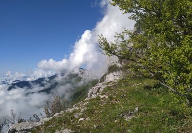 Excursión Senderismo Fontaine - Entre Château Bouvier et Moucherotte  - Photo