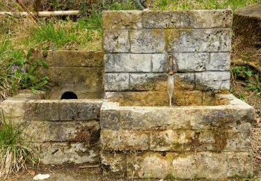 Tocht Te voet Mössingen - Zugangsweg - Mössingen - Weg-4 - Abzweigung von Weg 5 in Mössingen - Farrenberg Bismarckskapf - Abzweigung Ruine Andeck - Photo