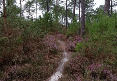 Trail Walking Pontonx-sur-l'Adour - Randonnée famille Pontonx - Photo