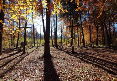 Randonnée A pied Paczółtowice - Krzeszowice - Dębnik - Photo