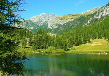 Excursión A pie Tende - Vallée des Merveilles - Photo