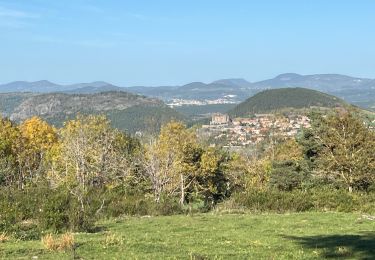 Randonnée Marche Coubon - Château de Lavalette circuit - Photo