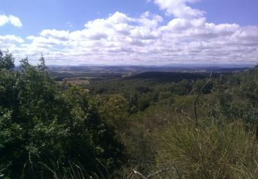 Randonnée Randonnée équestre Belvèze-du-Razès - Tour du Razès - Photo