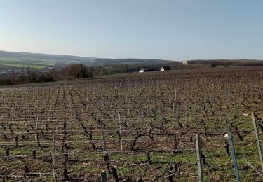 Trail Walking Château-Thierry - Les vignes Castelles - version 8 km - Photo