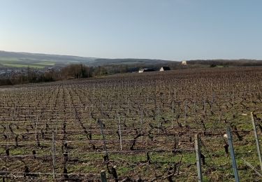 Tocht Stappen Château-Thierry - Les vignes Castelles - version 8 km - Photo