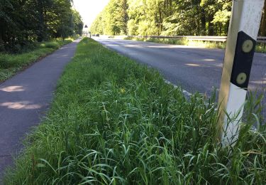 Tocht Te voet Onbekend - [D] Düsseldorfer Weg - Photo