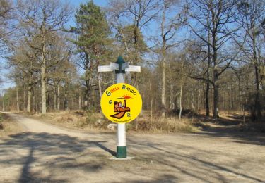 Trail Walking Fontaine-Chaalis - MR_ERMENONVILLE-Bosquet du Prince-NORD_4.8km - Photo