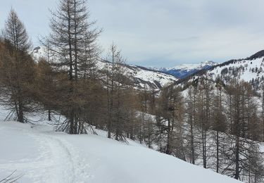 Excursión Raquetas de nieve Vars - Fontbonne - Cabane de l'Ecuelle  - Photo