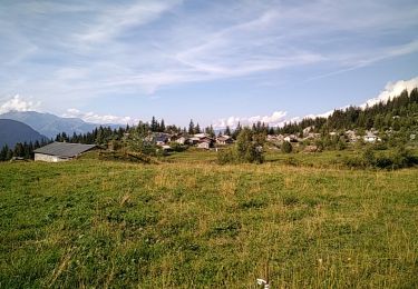 Trail Mountain bike Domancy - RANDO DOMANCY - Photo