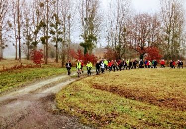 Excursión Senderismo Soulitré - Marche d' hiver 2019 des TCS - Photo