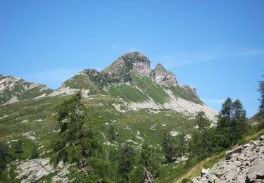 Tocht Te voet Toceno - M25 - Promez - Forcola di Larecchio - Photo