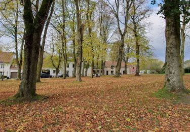 Percorso A piedi Lasne - Ransbeck - La Marache - Photo