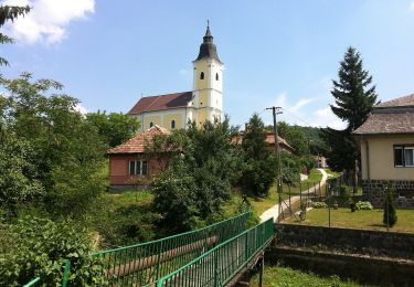 Tocht Te voet Salgótarján - P (Salgótarján - Karancsberény) - Photo