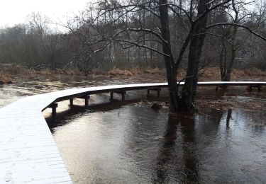 Randonnée Marche Martelange - Pont d'Oye - Photo