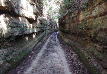 Tour Wandern Carpentras - carpentras la legue - Photo