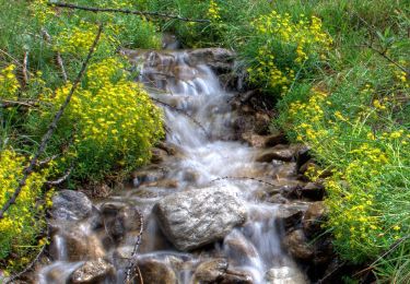 Trail On foot Pragelato - IT-324 - Photo