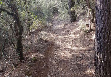 Trail Walking Manosque - 1Gaude, variante, Bellevue, montaigu - Photo