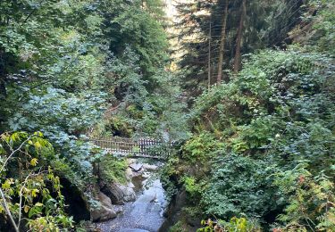 Tour Wandern Salvan - Les gorges à Martigny - Photo