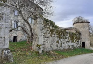 Tocht Stappen Lamastre - Grand tour d'Urbilhac - Photo