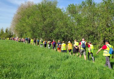 Trail Walking Montescourt-Lizerolles - Montescourt-Lizerolles du 14-04-2024 - Photo