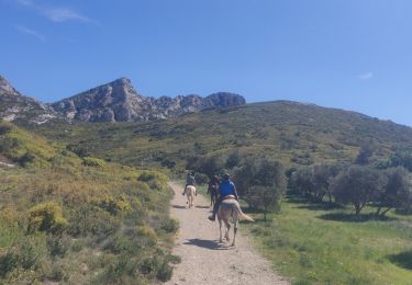 Percorso Equitazione Eygalières - SityTrail - 2019-04-29 Rando CVA Alpilles Eygalieres Mouries - Photo