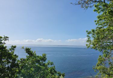 Tocht Hybride fiets Brest - 24 mai 20 - Photo