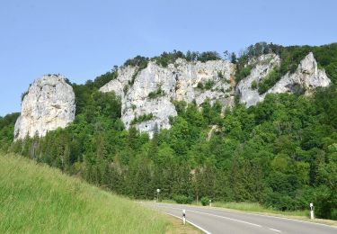 Excursión A pie Gomadingen - Premiumweg Eichfelsen-Panorama - Photo