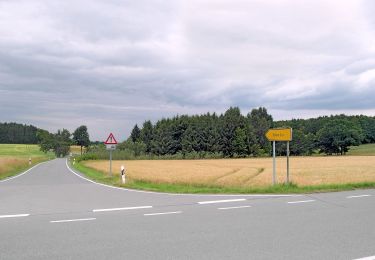 Tocht Te voet Bobritzsch-Hilbersdorf - Rundweg Gemeindewald - Photo