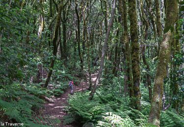 Tour Wandern Hermigua - El Cedro dans le parc national de La Gomera - Photo