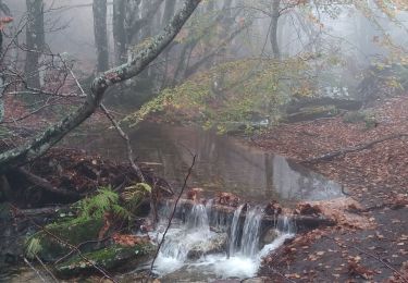 Percorso Marcia Rosis - Caroux dans le brouillard  - Photo