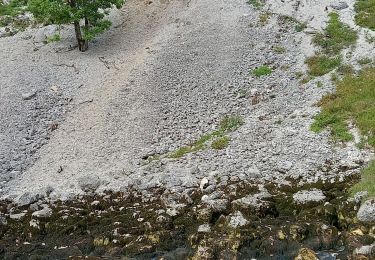 Excursión Senderismo Mouthe - GTJ 4 Mouthe, Foncine le Haut - Photo