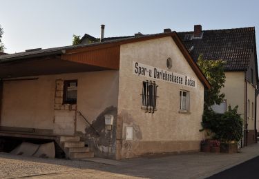 Trail On foot Bensheim - Rundwanderweg Niederwaldsee 2: Nachtweid-Weg - Photo