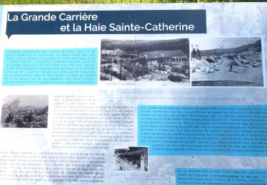 Trail Walking Yvoir - Spontin 7 km - Photo