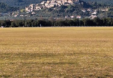 Randonnée Marche Château-Arnoux-Saint-Auban - tour de l'aérodrome  - Photo