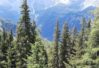 Tocht Stappen Bourg-Saint-Maurice - les arcs -> valandry - Photo