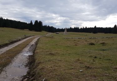 Tocht Stappen Échallon - Forêt d'Echallon, de Belleydoux - Photo