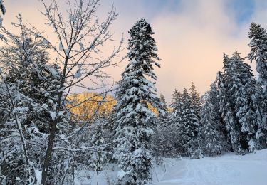 Trail Snowshoes Saint-Jean-de-Sixt - Le panorama du Danay (14) - Photo