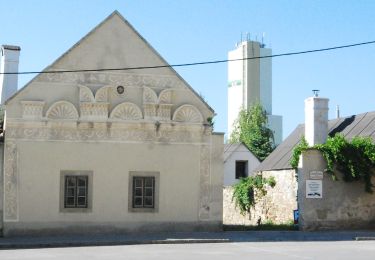 Tour Zu Fuß Gemeinde Donnerskirchen - Mannersdorf - Kaisereiche - Donnerskirchen - Photo