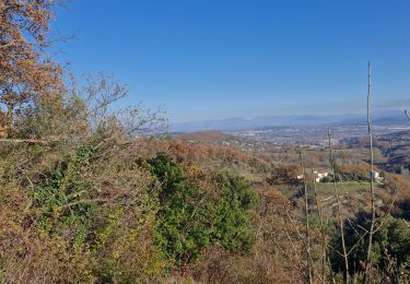 Trail Walking Le Teil - Mélas 